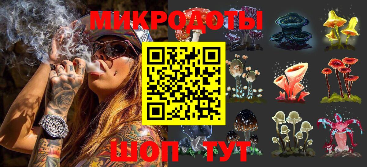 Псилоцибиновые грибы Psilocybe Прохладный