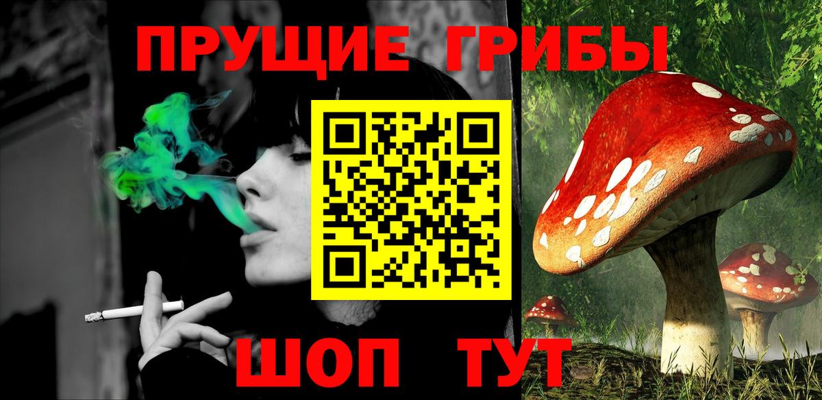 Прохладный  Псилоцибиновые грибы прущие грибы  Вход с VPN 