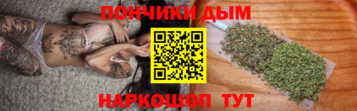Бошки марихуана Amnesia Прохладный